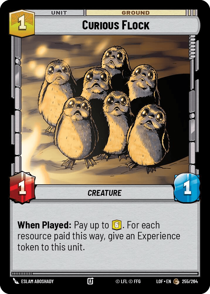 Curious Flock